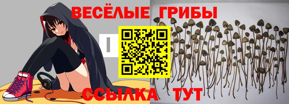 Галлюциногенные грибы GOLDEN TEACHER  Галлюциногенные грибы ЛСД  Норильск  Вход с VPN 